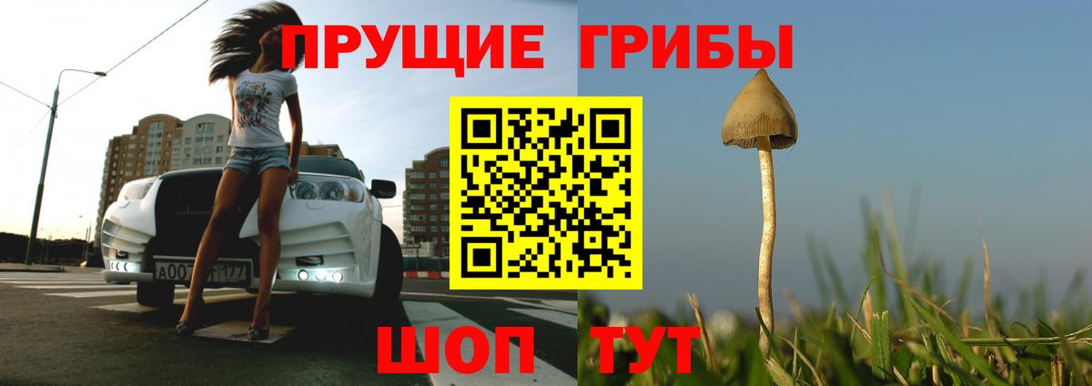Псилоцибиновые грибы Psilocybe  Вход с VPN  где можно купить   Реутов 